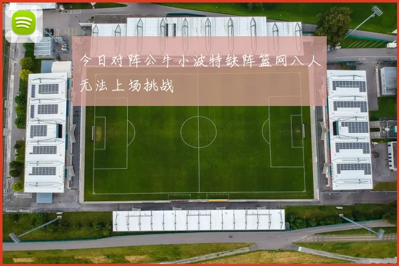 今日对阵公牛小波特缺阵篮网八人无法上场挑战