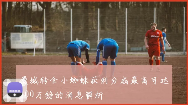 曼城转会小蜘蛛获利分成最高可达800万镑的消息解析