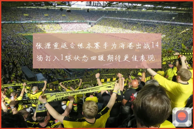 张源重返合练本赛季为海港出战14场打入1球状态回暖期待更佳表现
